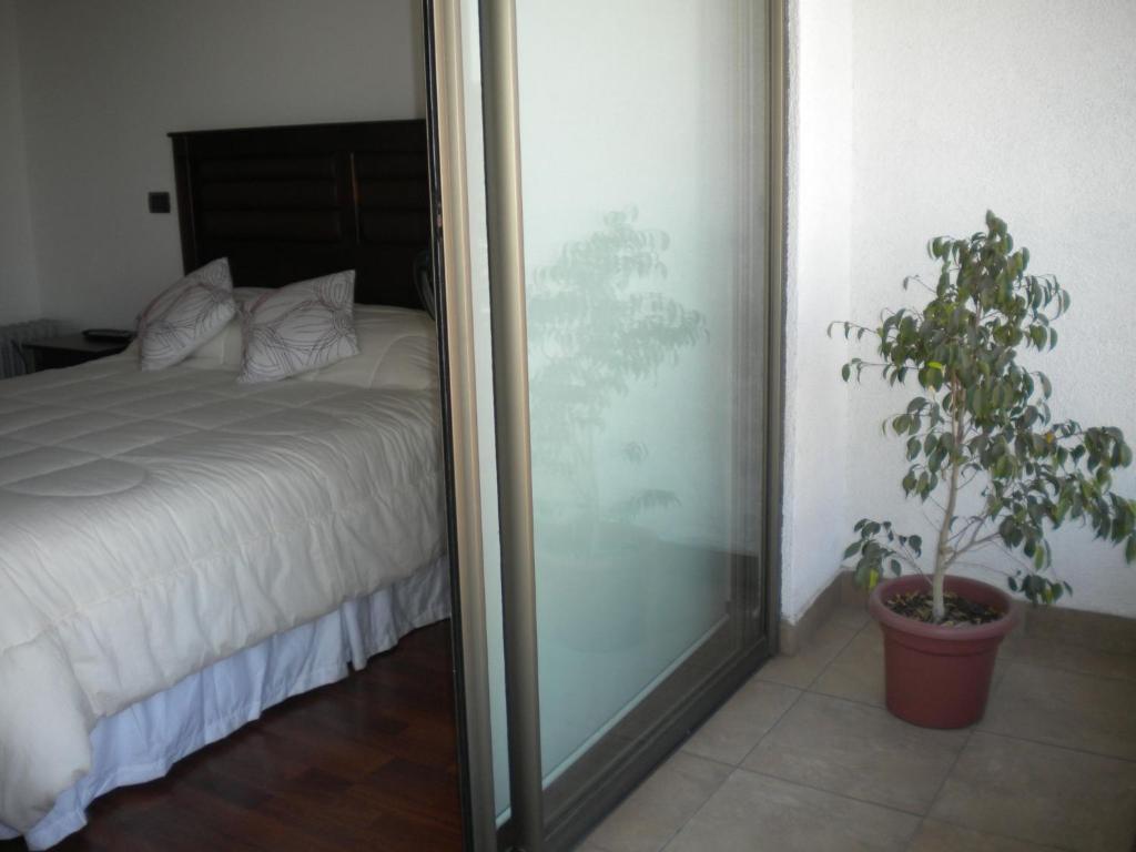 Barcelo Suites Providencia I Σαντιάγκο Δωμάτιο φωτογραφία